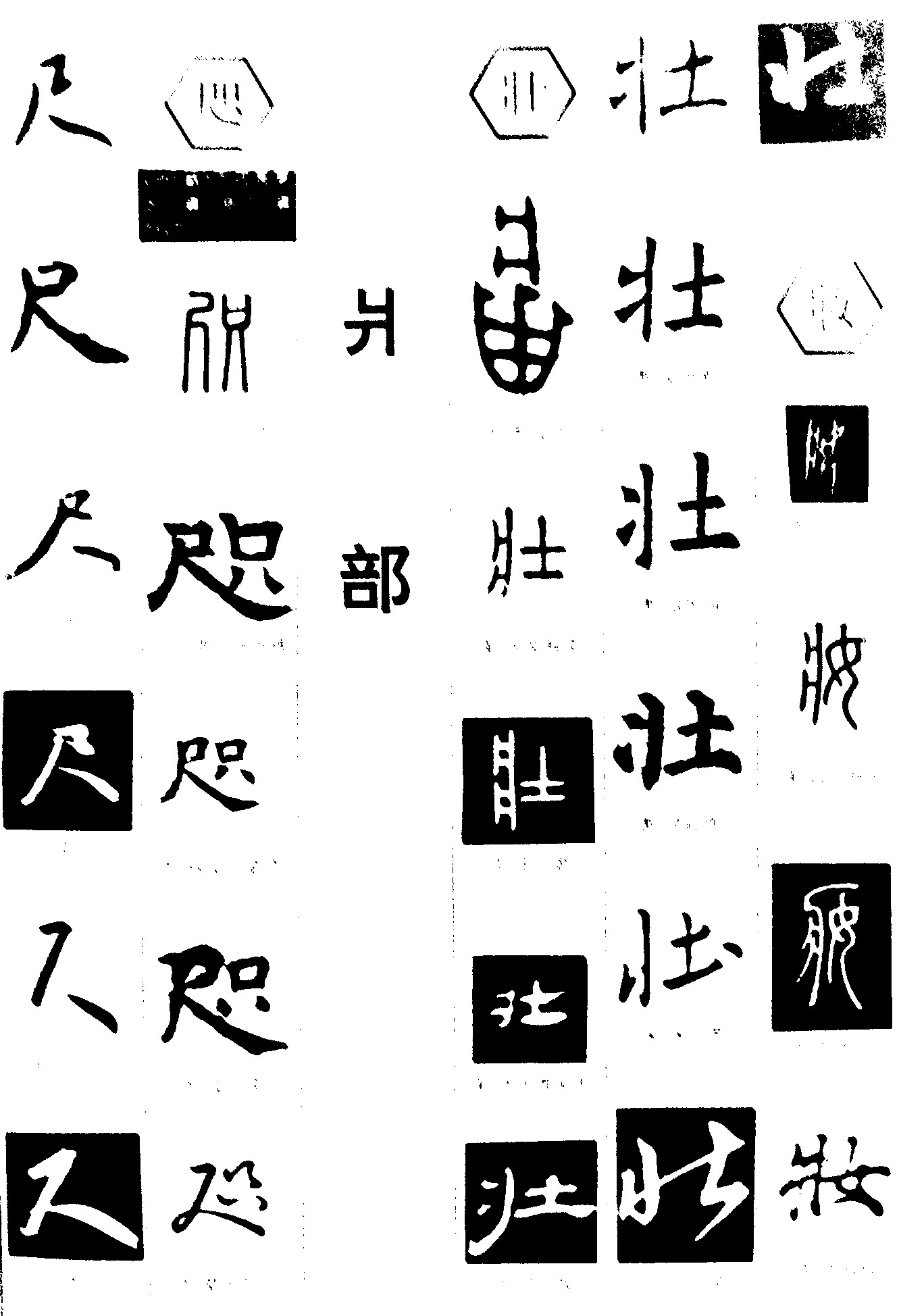 尺咫壮妆