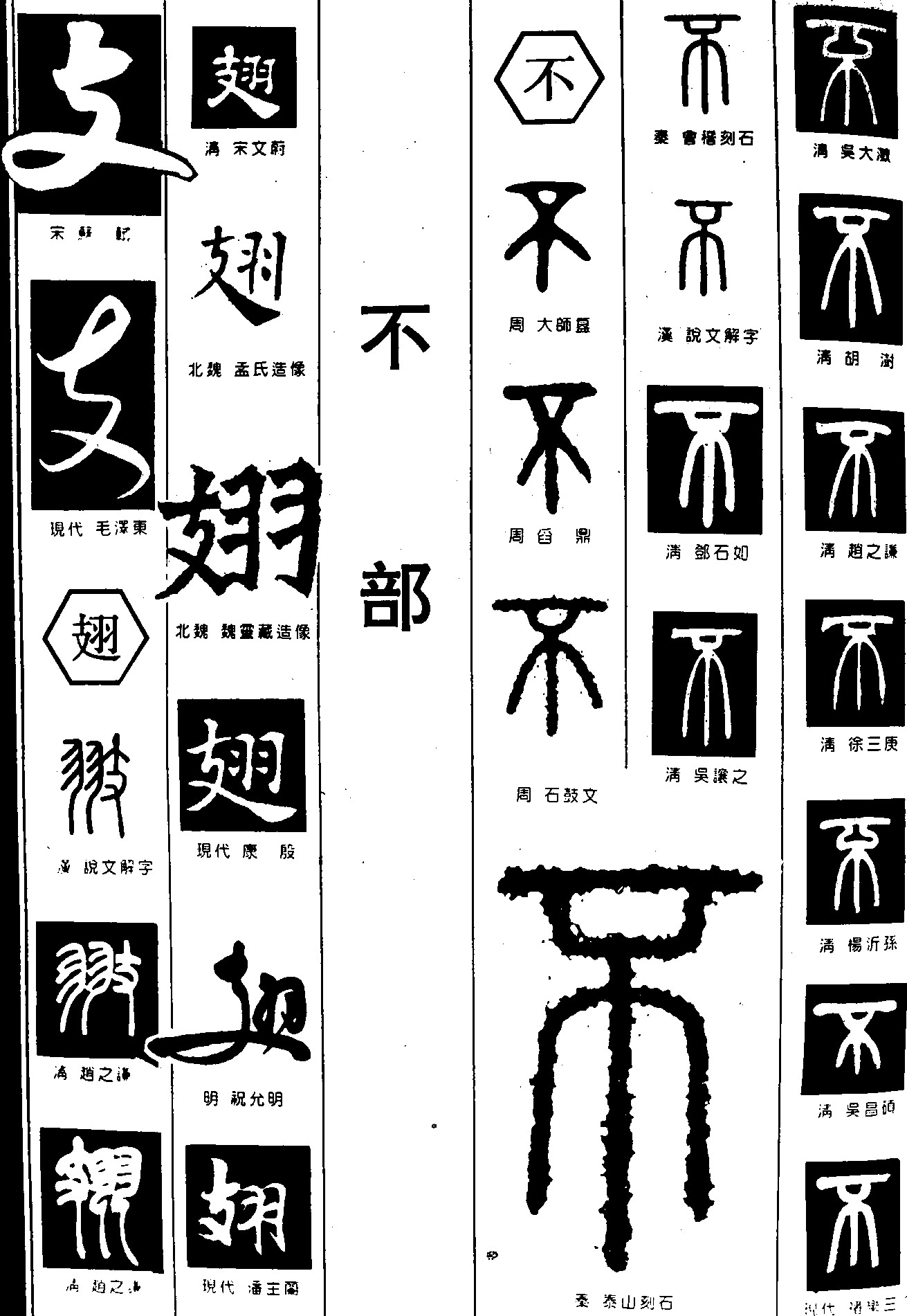 支翅不