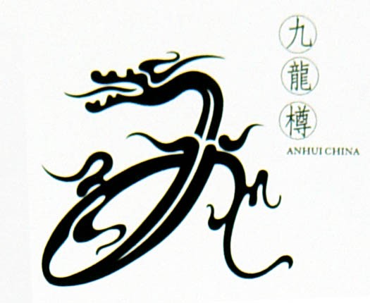 龙