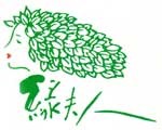 绿夫人