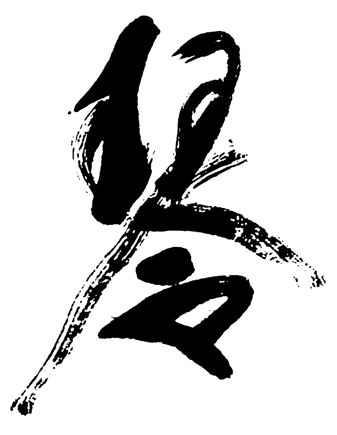 琴