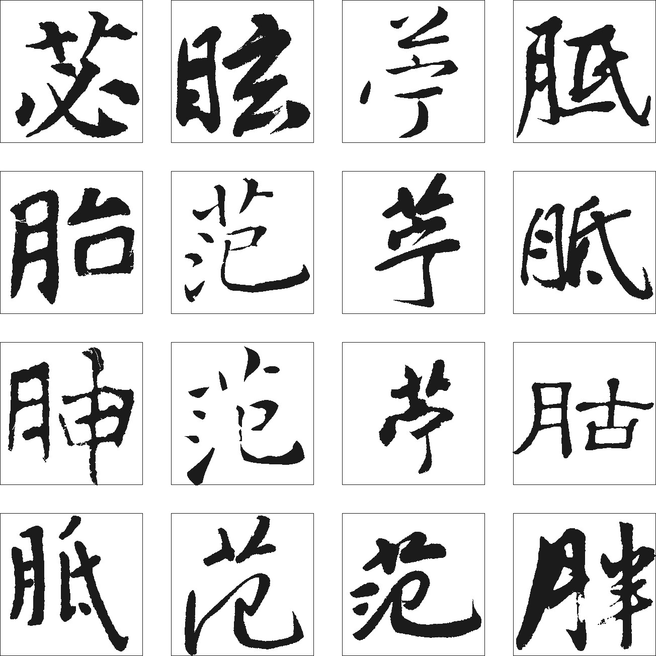 苾眩苧胝胎范苧胝胂胖