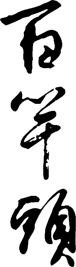 百竿头