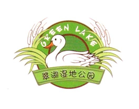 鸭子