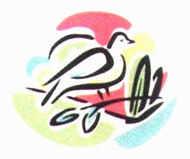 鸽子