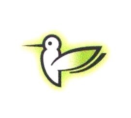 鸟