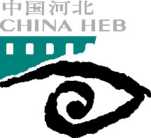 胶片眼