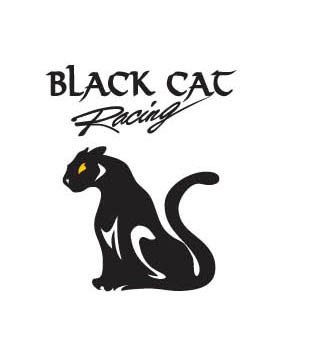猫 动物