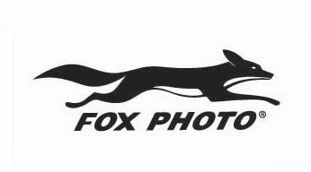 狐狸 FOX