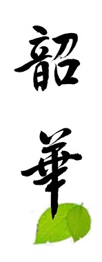 韶华