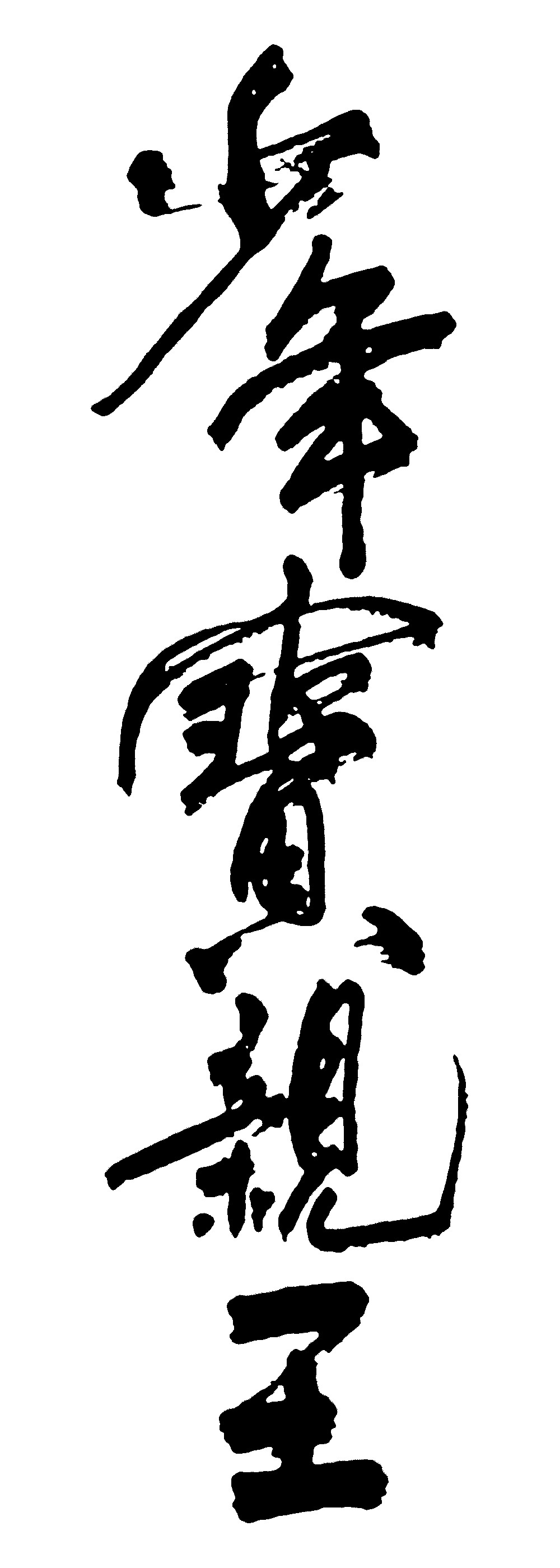 少年宝亲王