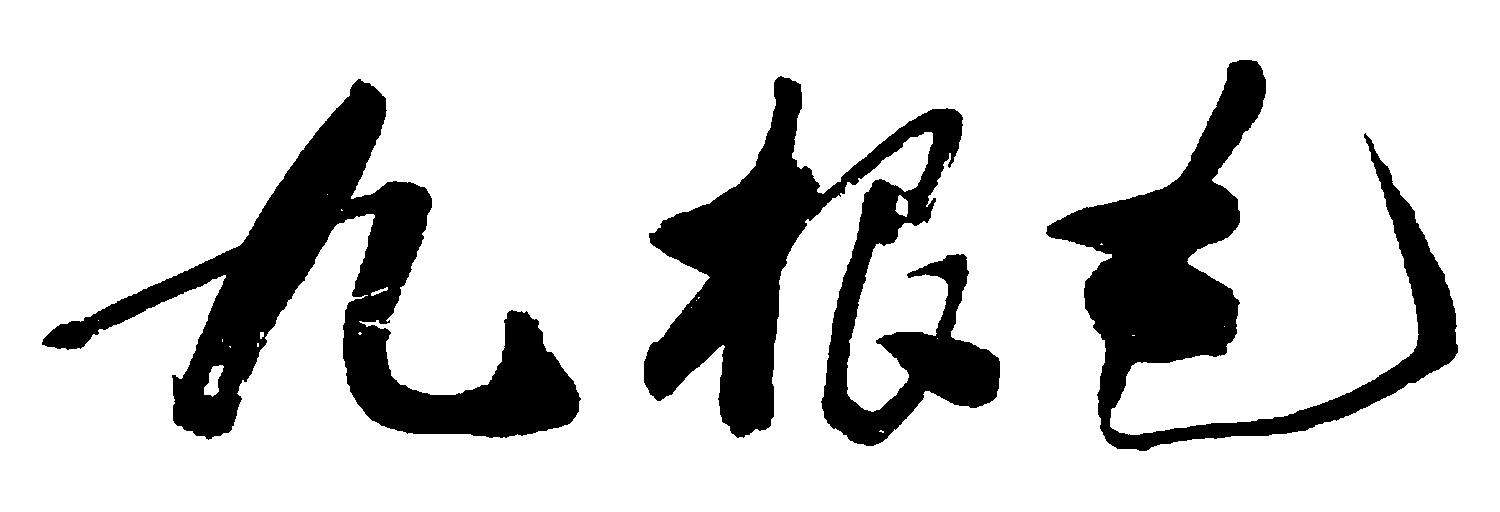 九根毛