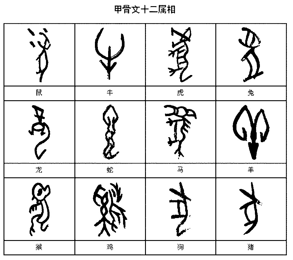 甲骨文十二属相牛虎兔鼠龙蛇马羊猴鸡狗猪