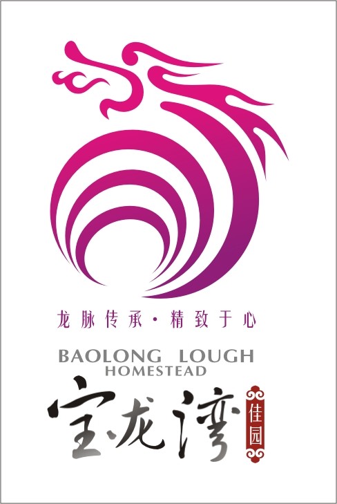 龙