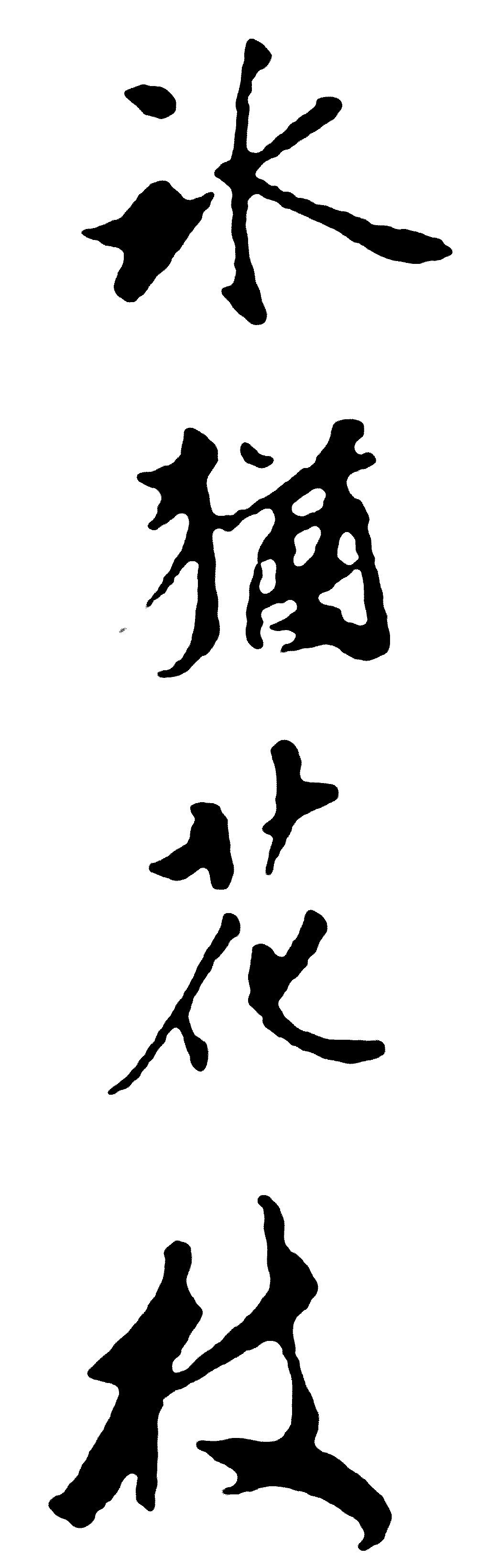 冰犹花枝