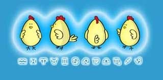 吉祥物鸡