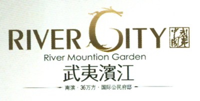 龙