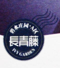 长青藤