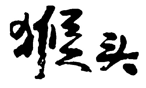 猴头