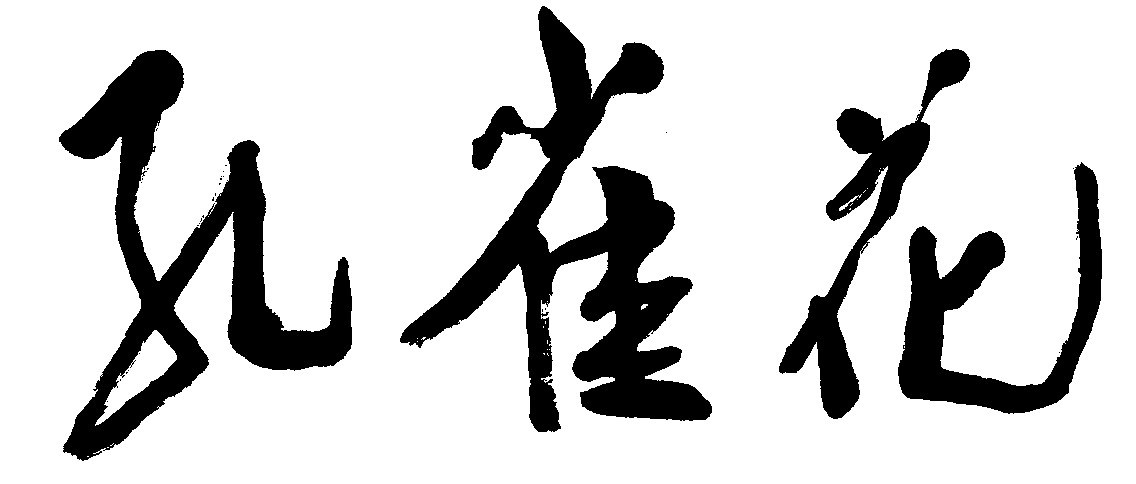 孔雀花
