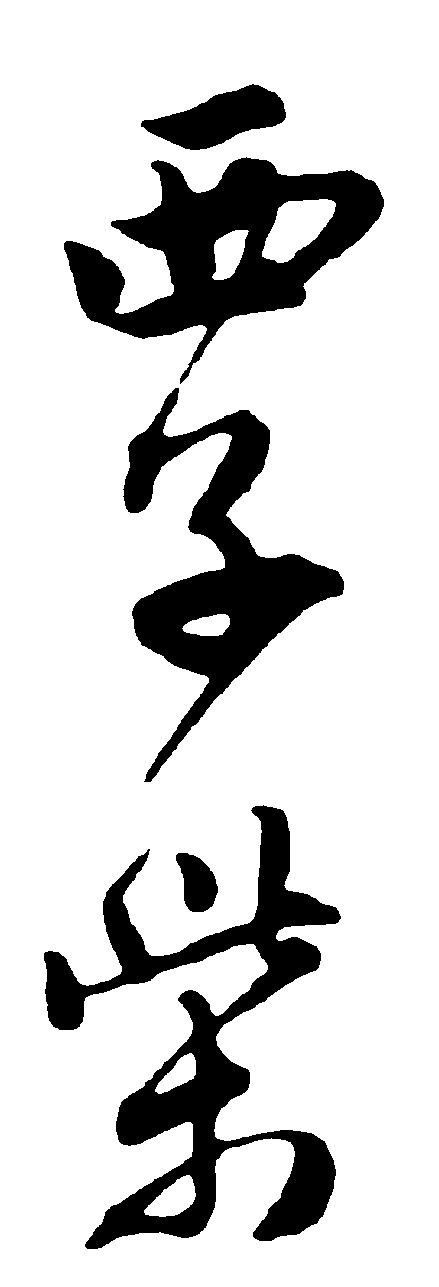 西子紫