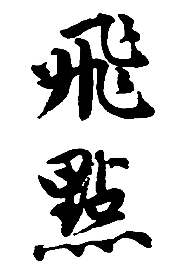 飞点