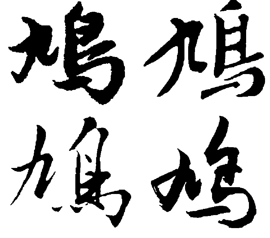 鸠