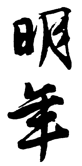 明年