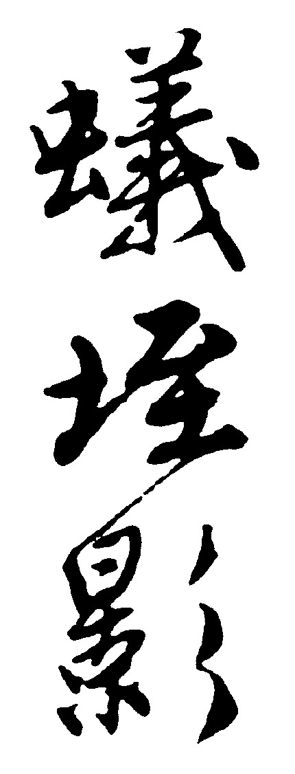 蚁垤影