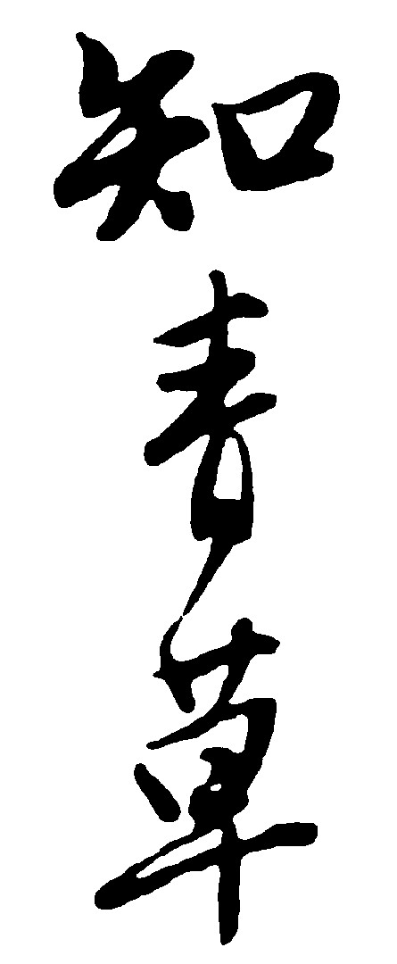 知青草