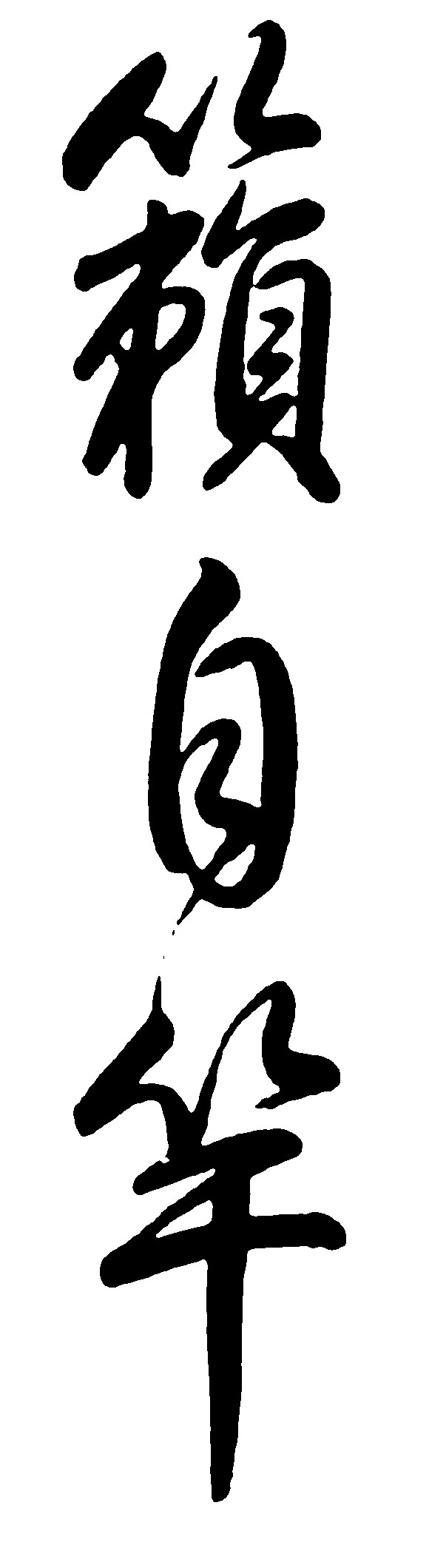 籁自竿