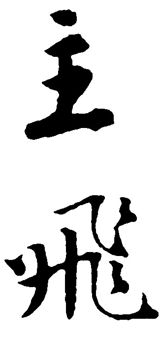 主飞