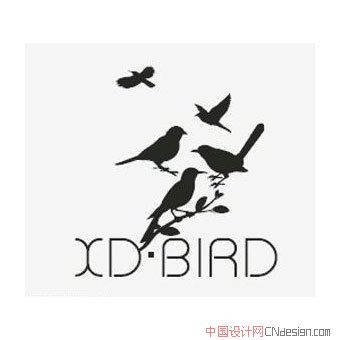 小鸟