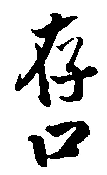 存口
