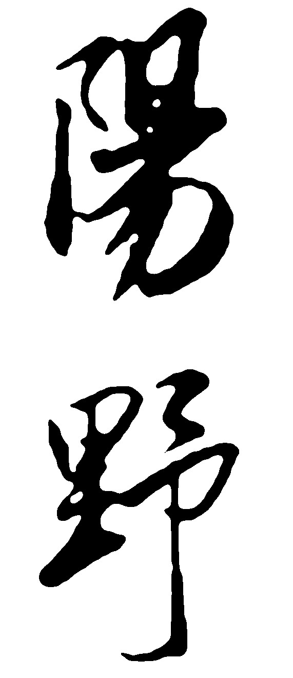 阳野