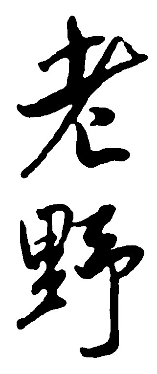 老野