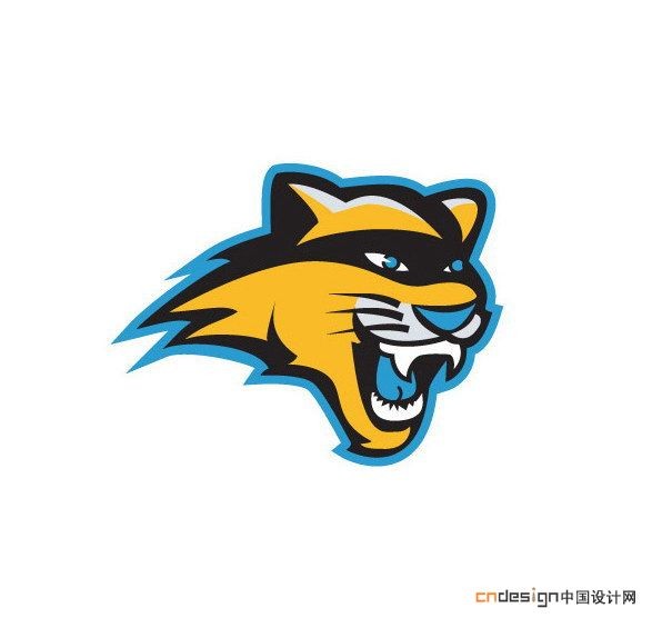豹