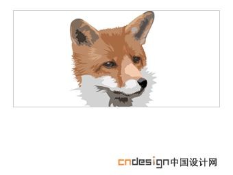 狐狸