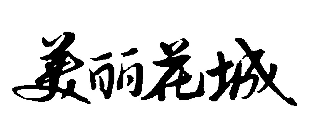 美丽花城