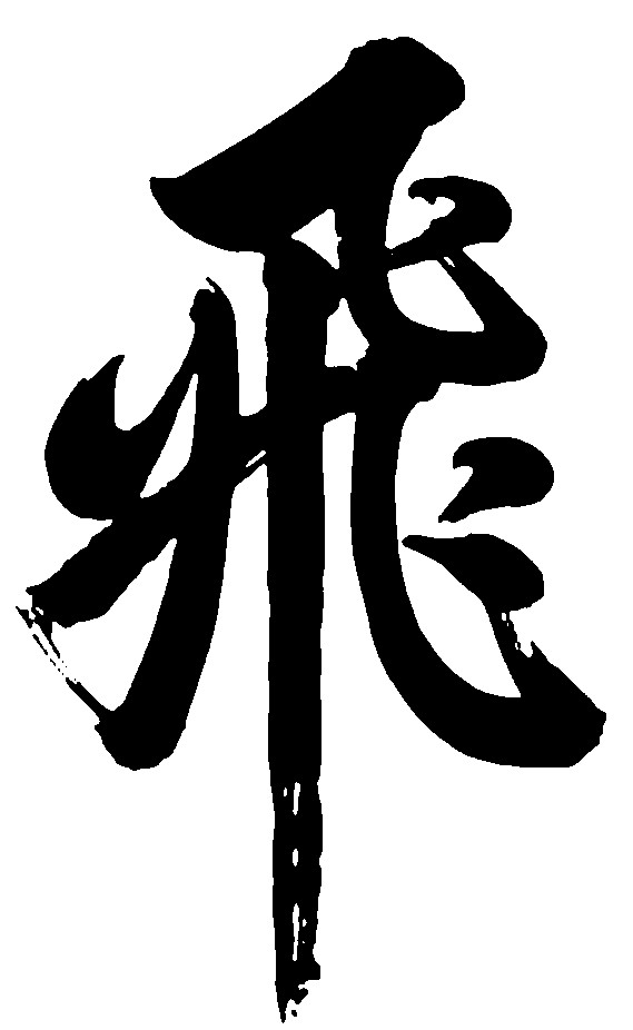 飞