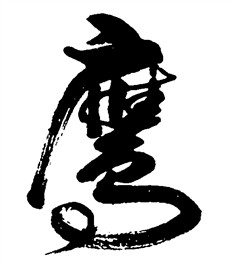 鹰