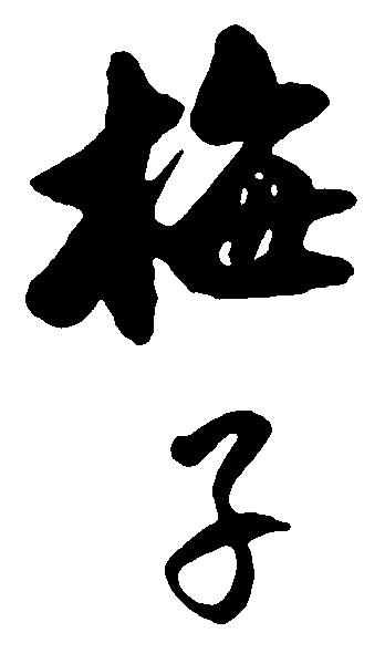 梅子