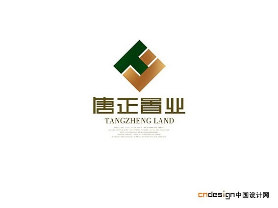 唐正置业