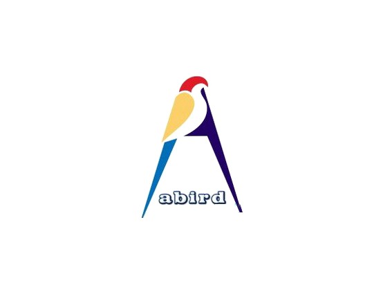 a鸟