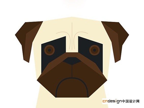 pug