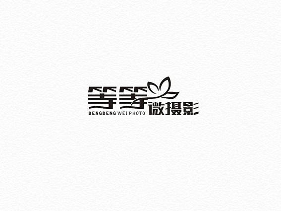 叶子 等等微摄影
