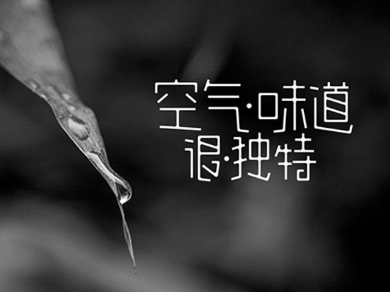 空气 味道很独特