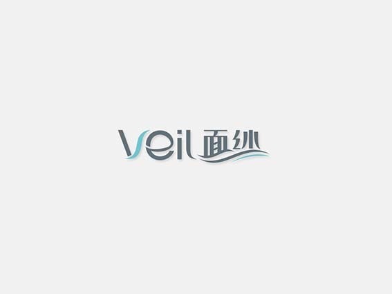 VEIL 面纱