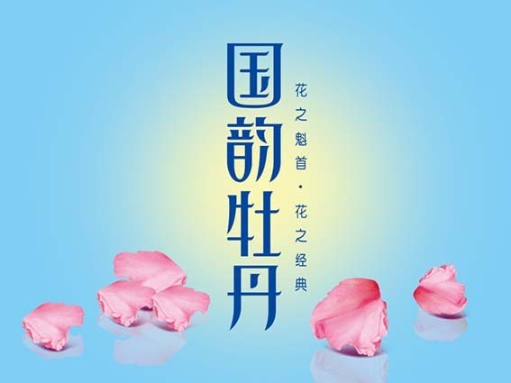 国韵牡丹