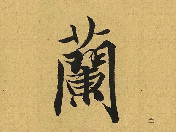 蘭 兰